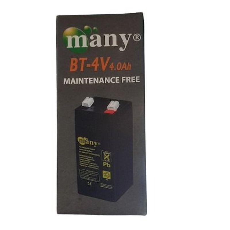 Picture of 4 bold battery 4 am