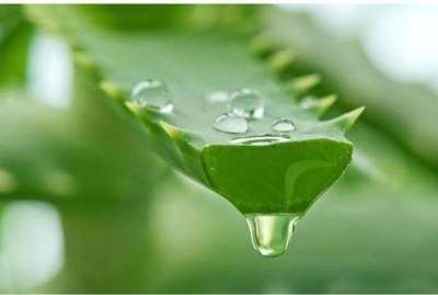 Picture of Nature soothing gel moisture 99% Aloe vera 120 Ml
