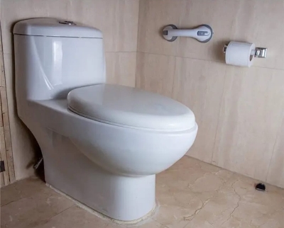 Picture of Bathroom & Shower Helping Handle Safety Grip Smart Home Appliance For Anti Slip Support