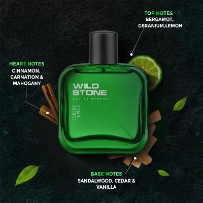 Picture of International Indian  Product Wild Stone Forest Spice Perfume for Men –50ml