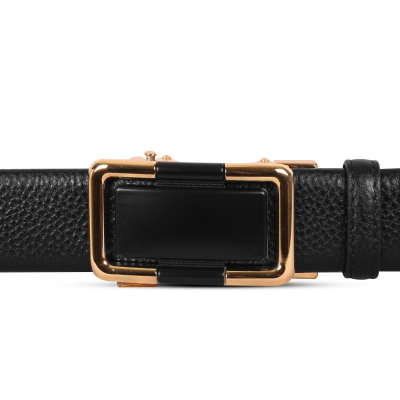 Picture of Stylish Gold Buckle Leather Gear Belt For Men SB-IB060