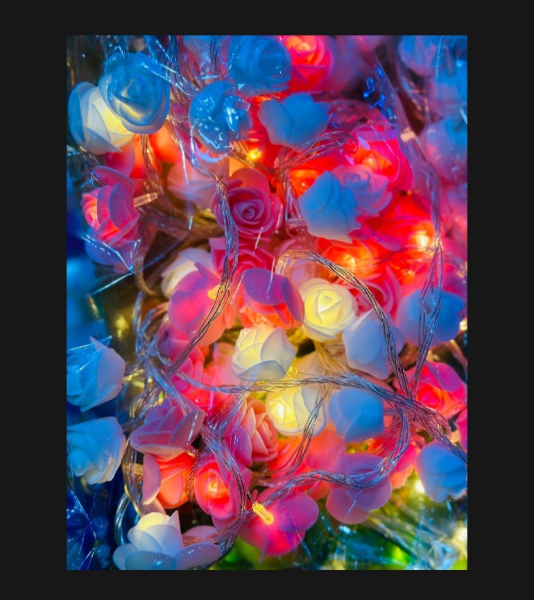 Picture of rose fiary lights Picture of rose fiary lights