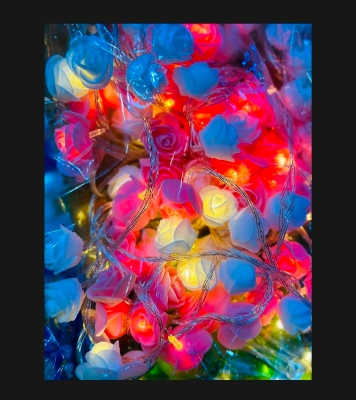 Picture of rose fiary lights Picture of rose fiary lights