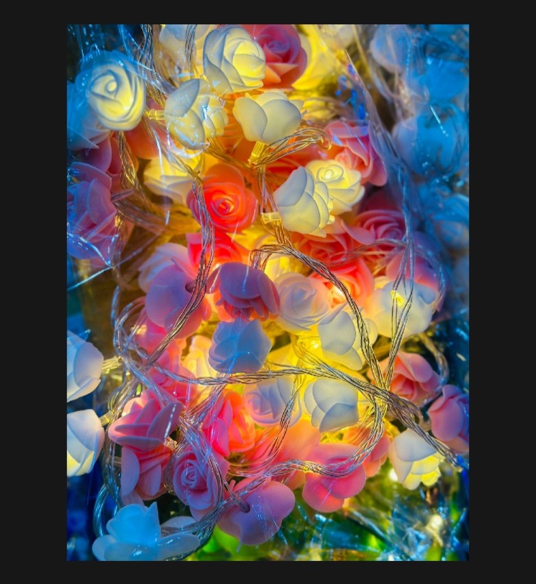 Picture of rose fiary lights Picture of rose fiary lights