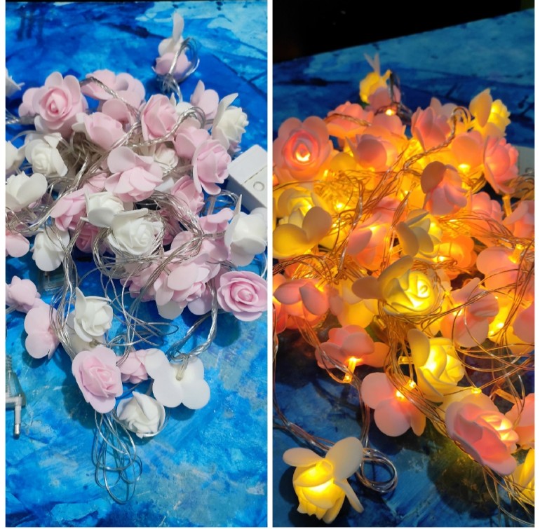 Picture of rose fiary lights Picture of rose fiary lights
