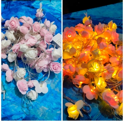 Picture of rose fiary lights Picture of rose fiary lights