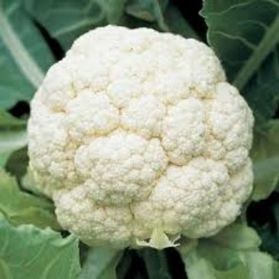 Picture of Vegetable Ful Kopi Per pc-