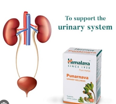 Picture of Himalay Punarnava Tablets - 60 Count