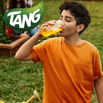 Picture of Tang Orange Instant Drink Powder,375g