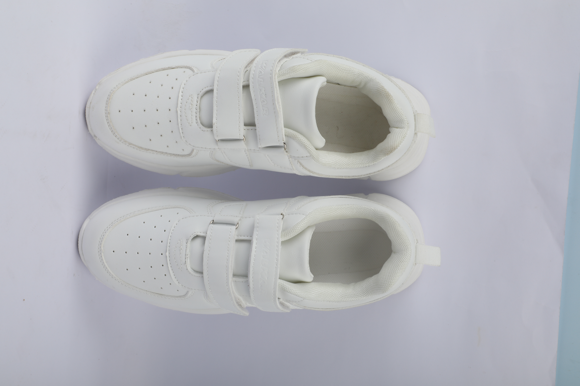 Picture of School sports shoe White