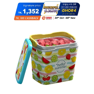 Thermal Ice Box 25 L Assorted 