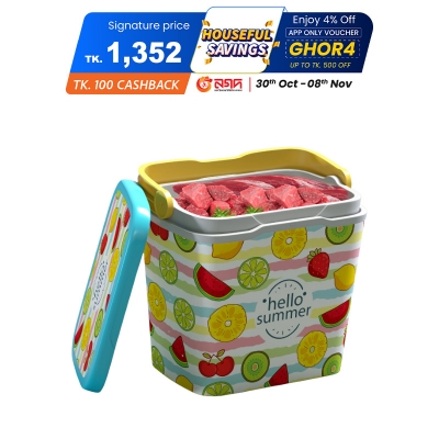 Picture of Thermal Ice Box 25 L Assorted 