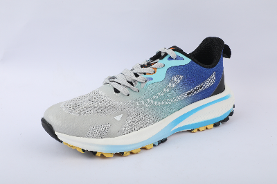 Picture of Mens sports shoe Grey CKD 843300072