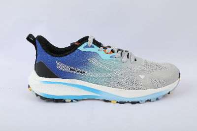 Picture of Mens sports shoe Grey CKD 843300072