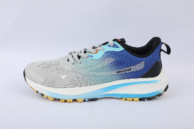 Picture of Mens sports shoe Grey CKD 843300072