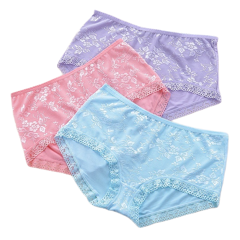 Picture of Cotton Panties Hip Raise Panty Embroidered Breathable Ropa Interior De Mujer Seamless Women's Panties