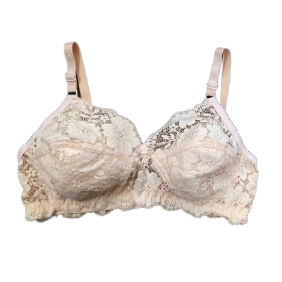 Picture of Juliyet rose net bra stylish bra soft bra soft net bra flower net bra