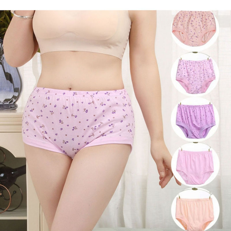 Picture of 6 Pieces Cotton Comfortable Panty for Women