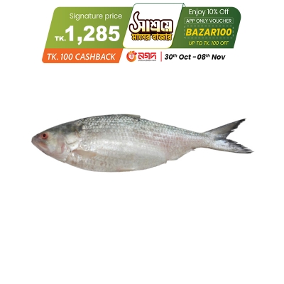 Picture of Hilsha Fish (ইলিশ) 700gm Plus