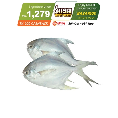 Picture of Rupchada (রূপচাঁদা ) Fish Picture of Rupchada (রূপচাঁদা ) Fish