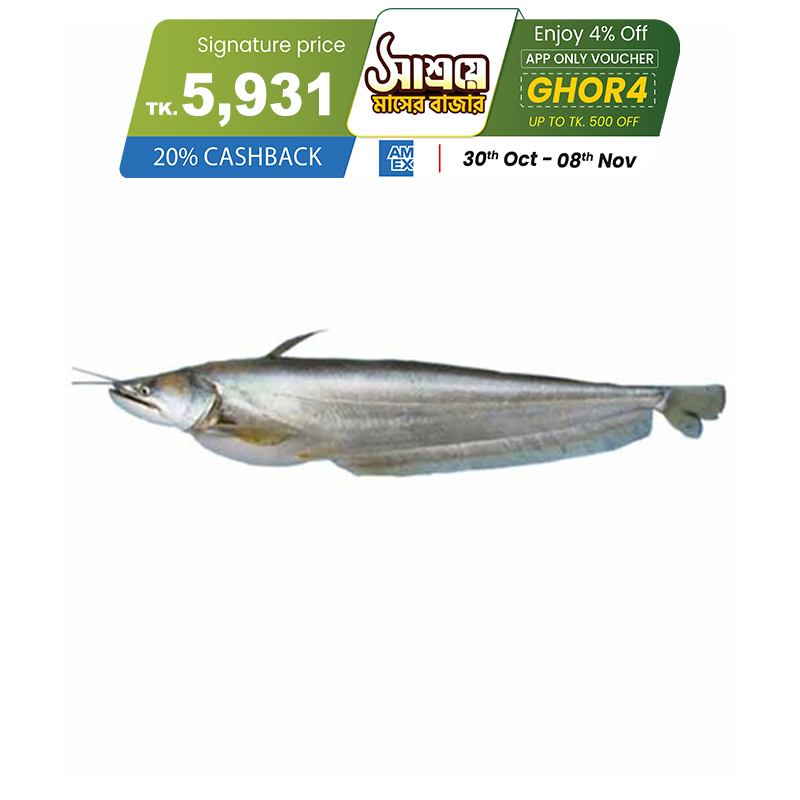 Picture of Boal Fish (বোয়াল মাছ) 4.7 kg Local (100gm±) Per Pc Before Cutting Picture of Boal Fish (বোয়াল মাছ) 4.7 kg Local (100gm±) Per Pc Before Cutting