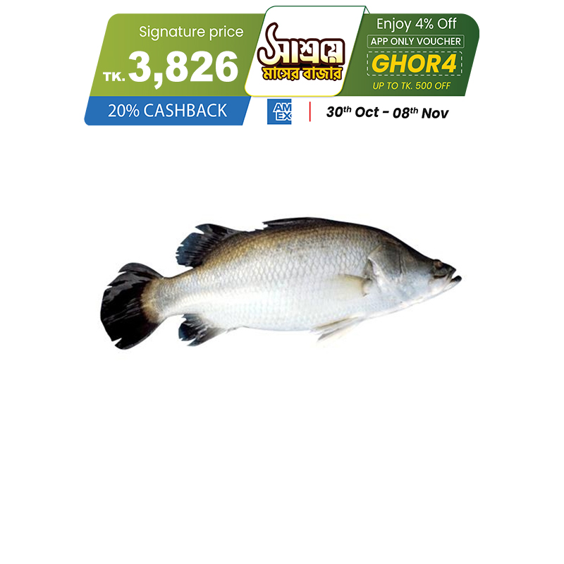 Picture of Koral Fish (কোরাল মাছ) 4 kg (100gm±) Per Pc Before Cutting