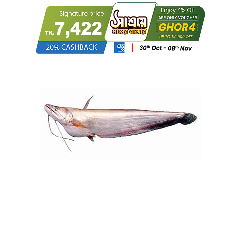 Picture of Boal Fish (বোয়াল মাছ) 6 kg Local (100gm±) Per Pc Before Cutting