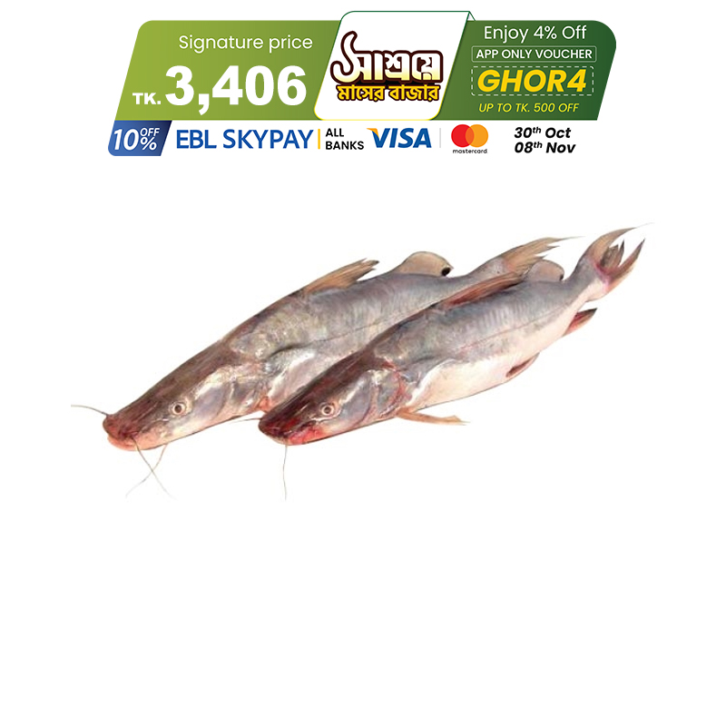 Picture of Aair Fish (আইর মাছ) 1.75 kg Local (50gm±) Per Pc Before Cutting Picture of Aair Fish (আইর মাছ) 1.75 kg Local (50gm±) Per Pc Before Cutting