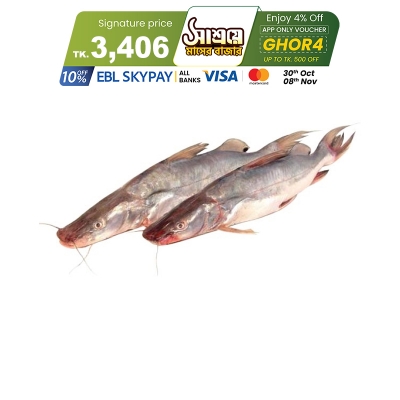 Picture of Aair Fish (আইর মাছ) 1.75 kg Local (50gm±) Per Pc Before Cutting Picture of Aair Fish (আইর মাছ) 1.75 kg Local (50gm±) Per Pc Before Cutting