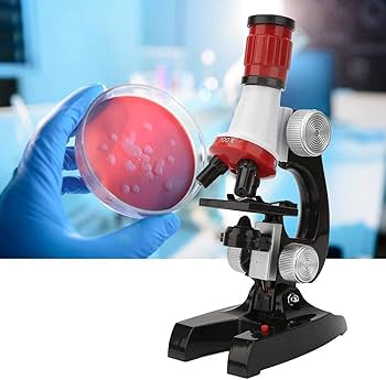 Picture of 1200 Times Microscope Toys Primary School Biological Science Experiment Equipment Kids Educational Toys Microscope Kit Picture of 1200 Times Microscope Toys Primary School Biological Science Experiment Equipment Kids Educational Toys Microscope Kit