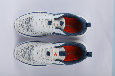 Picture of Mens sports shoe Grey CKD 843300075