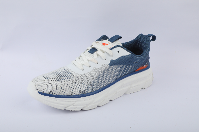 Picture of Mens sports shoe Grey CKD 843300075