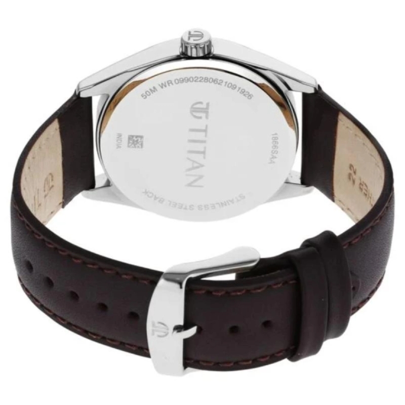 Picture of Titan Workwear Workwear Brown Dial Analog Leather Strap Watch Men (1866Sl02)
