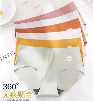Picture of Imported Ice silk comfortable long time useable panty underwear for women - One Piece