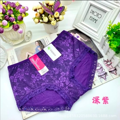 Picture of One Piece Imported Premium Lace Breathable Underwear Comfortable Panty for Women