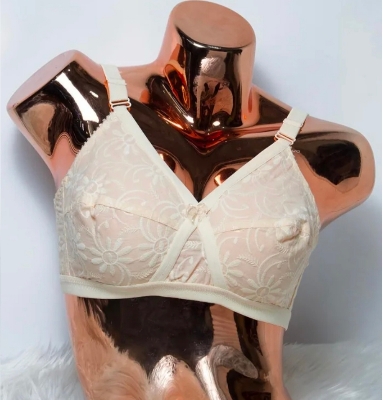 Picture of Imported comfortable Indian Like Me Comfort Bra Cotton Big Belt Full Coverage Bra for Women regular use bra for women