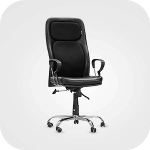 Picture for category Home Office Chairs