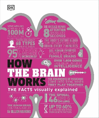 Picture of How the Brain Works (Hardcover)