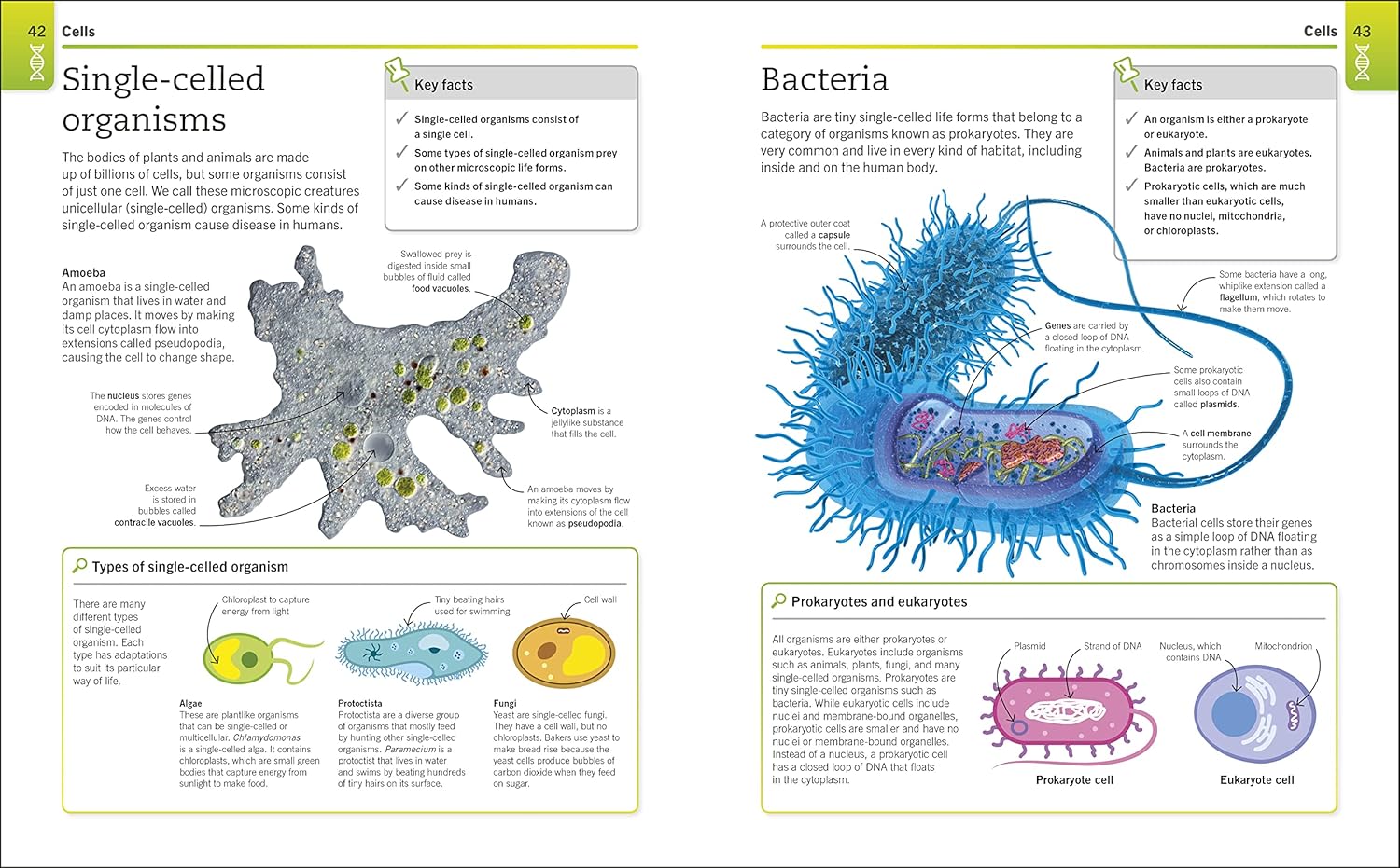 Picture of Super Simple Biology [Paperback]