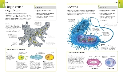 Picture of Super Simple Biology [Paperback]