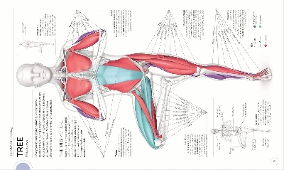 Picture of Science Of Yoga [Paperback]