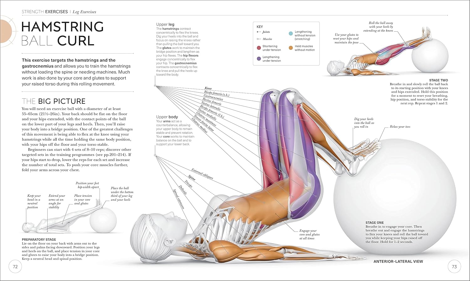 Picture of Science of Strength Training [Paperback]