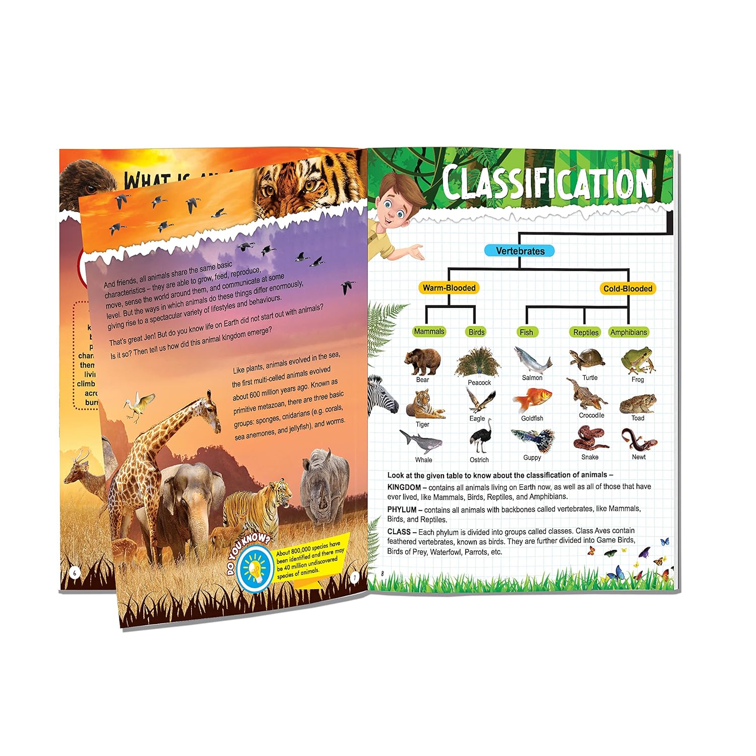 Picture of Explore Encyclopedia Books Pack
