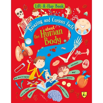 Picture of Lift A Flap Book Amazing & Curious Facts about the Human Body (Hardcover)