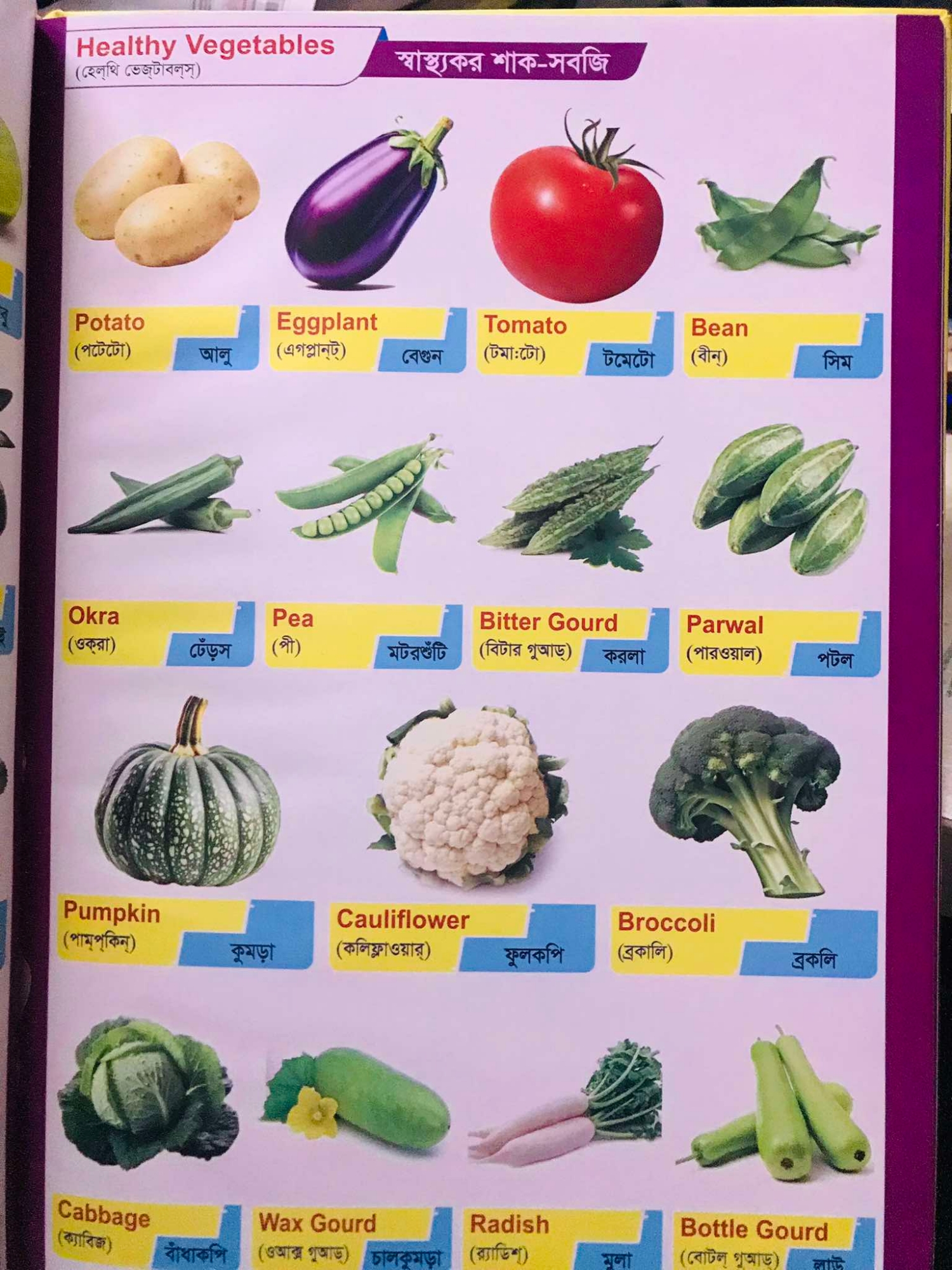 Picture of My First Picture Dictionary 1000+ Words English to Bangla ((Hardcover)