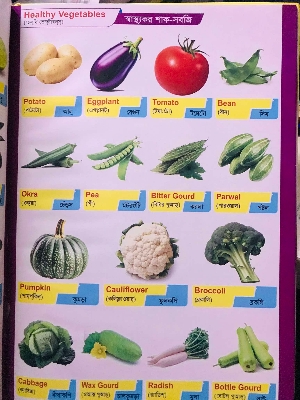 Picture of My First Picture Dictionary 1000+ Words English to Bangla ((Hardcover)