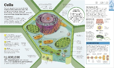 Picture of How Science Works (Hardcover)