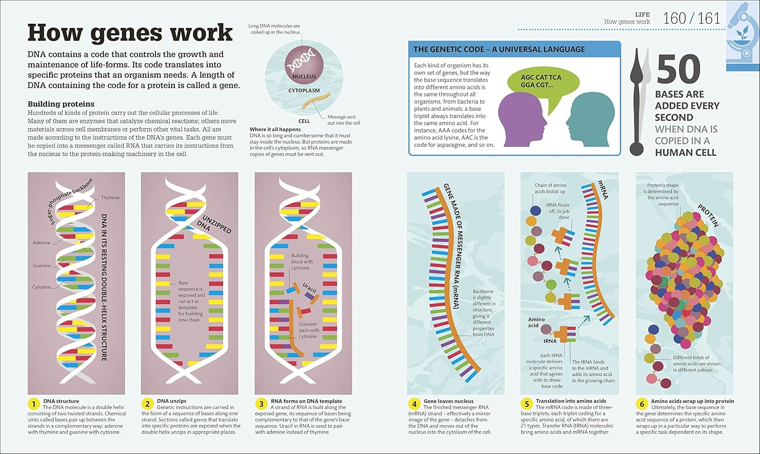 Picture of How Science Works (Hardcover)