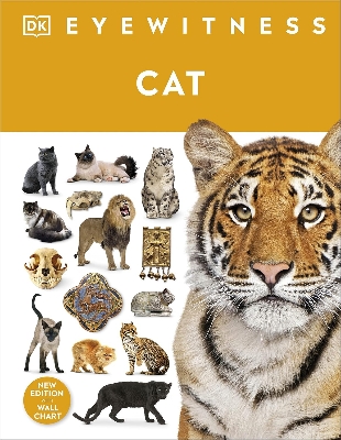 Picture of Cat (eyewitness) (DK Eyewitness) Hardcover