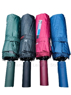 Picture of Bmw Umbrella 16 Ribs | Bmw 16k Umbrella Auto Close | 16 Ribs Umbrella Windproof | Bmw Umbrella Big size Auto Close